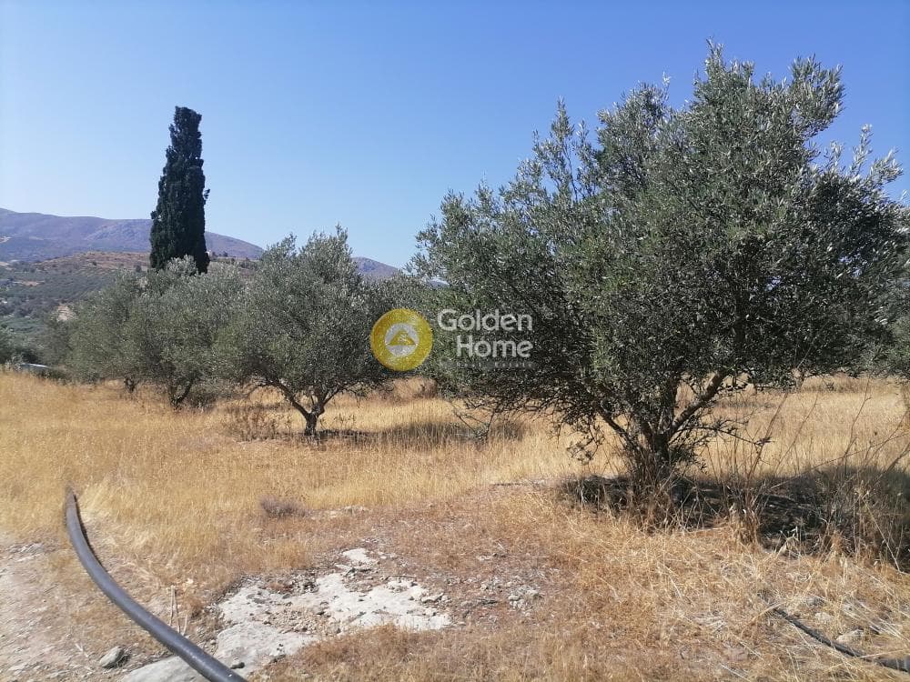 Οικόπεδο στην Λίσταρος, Μοίρες — Φωτογραφία 12 από 23