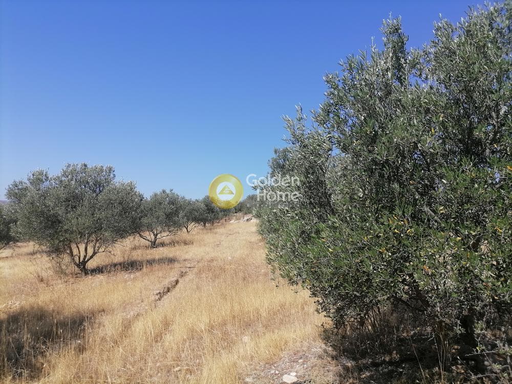 Οικόπεδο στην Λίσταρος, Μοίρες — Φωτογραφία 16 από 23