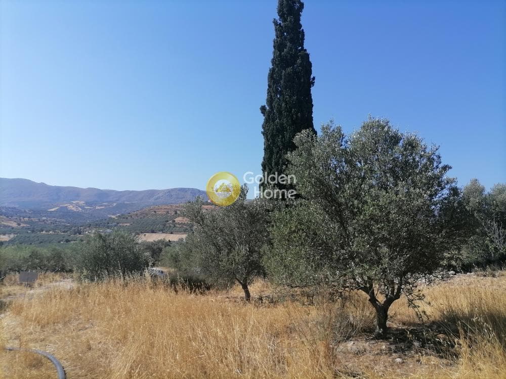 Οικόπεδο στην Λίσταρος, Μοίρες — Φωτογραφία 18 από 23