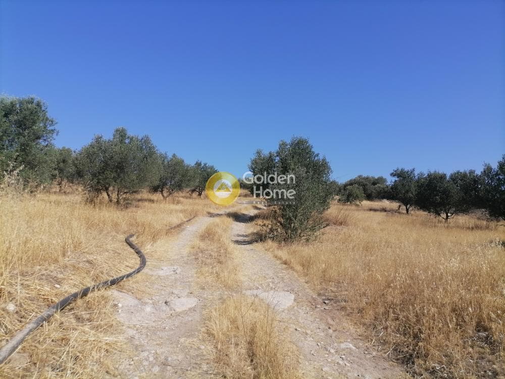 Οικόπεδο στην Λίσταρος, Μοίρες — Φωτογραφία 19 από 23