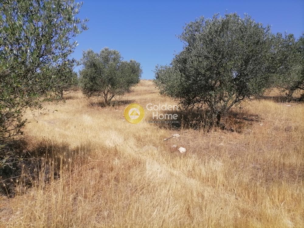 Οικόπεδο στην Λίσταρος, Μοίρες — Φωτογραφία 21 από 23