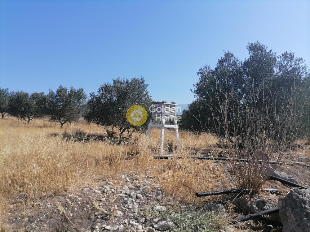 Οικόπεδο στην Λίσταρος, Μοίρες — Φωτογραφία 22 από 23