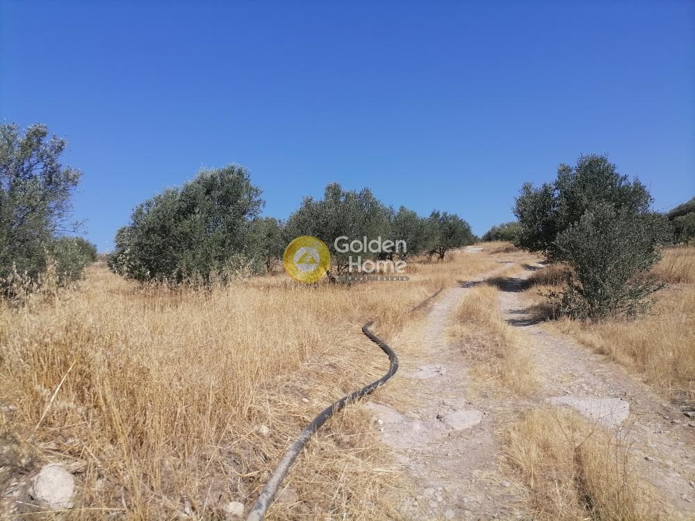 Οικόπεδο στην Λίσταρος, Μοίρες — Φωτογραφία 23 από 23