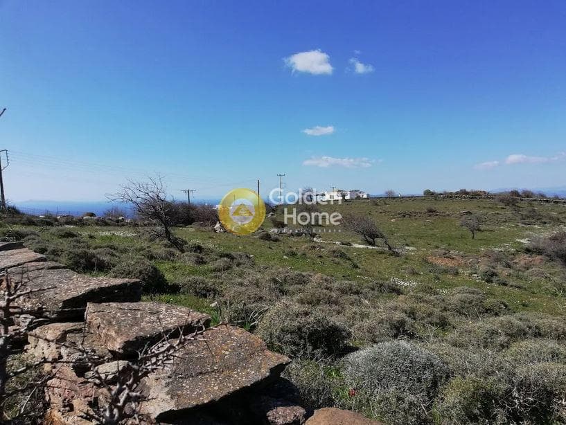 Αγροτεμάχιο στην Κάτω Μεριά, Κέα — Φωτογραφία 4 από 5