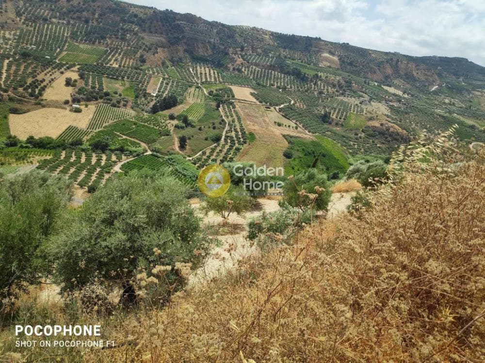 Αγροτεμάχιο στην Άγιος Μύρωνας, Τετραχώρι — Φωτογραφία 3 από 31