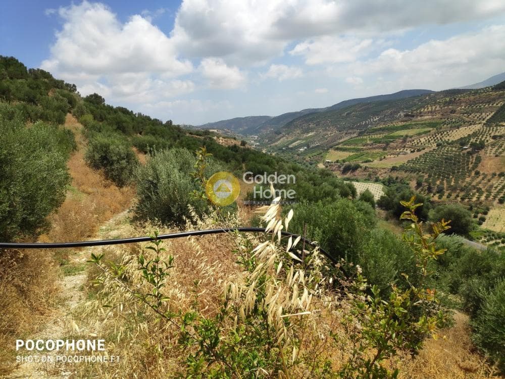 Αγροτεμάχιο στην Άγιος Μύρωνας, Τετραχώρι — Φωτογραφία 5 από 31