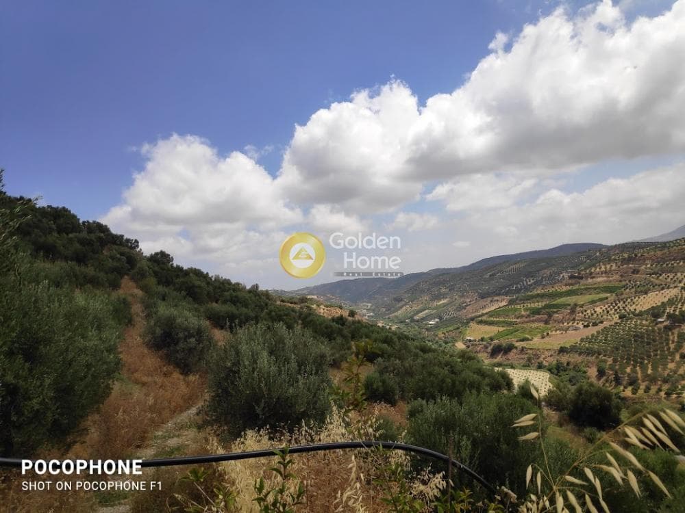 Αγροτεμάχιο στην Άγιος Μύρωνας, Τετραχώρι — Φωτογραφία 4 από 31