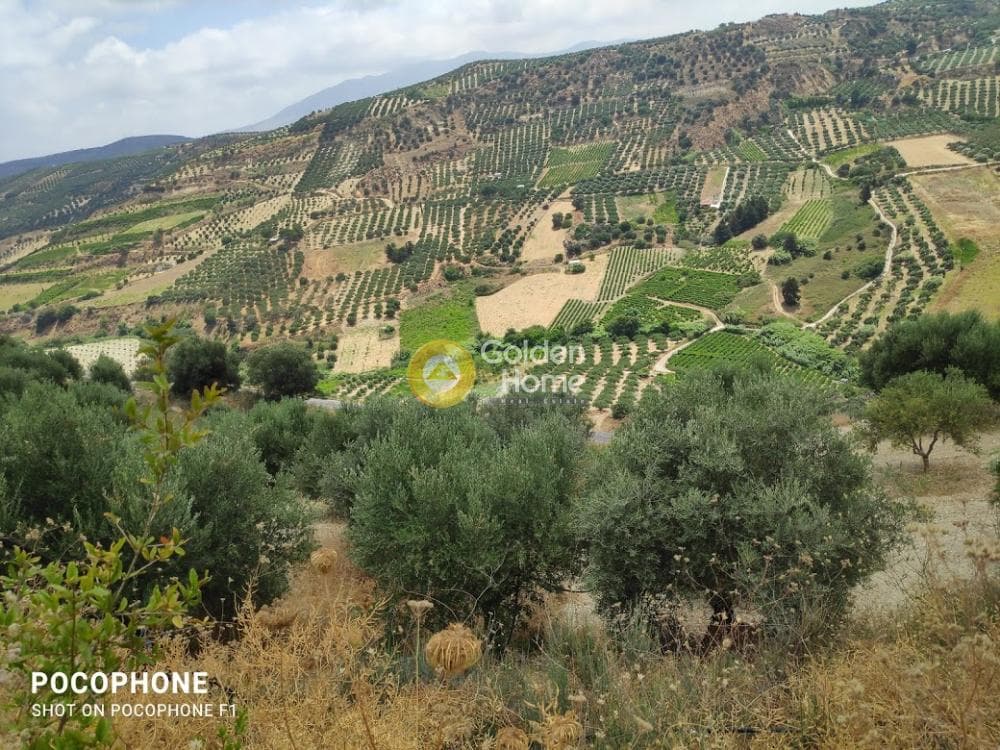 Αγροτεμάχιο στην Άγιος Μύρωνας, Τετραχώρι — Φωτογραφία 9 από 31