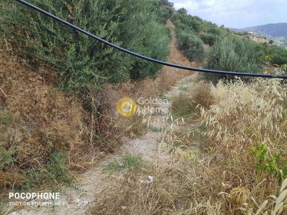 Αγροτεμάχιο στην Άγιος Μύρωνας, Τετραχώρι — Φωτογραφία 11 από 31
