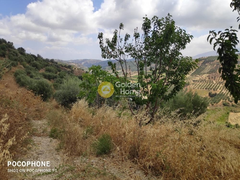 Αγροτεμάχιο στην Άγιος Μύρωνας, Τετραχώρι — Φωτογραφία 14 από 31