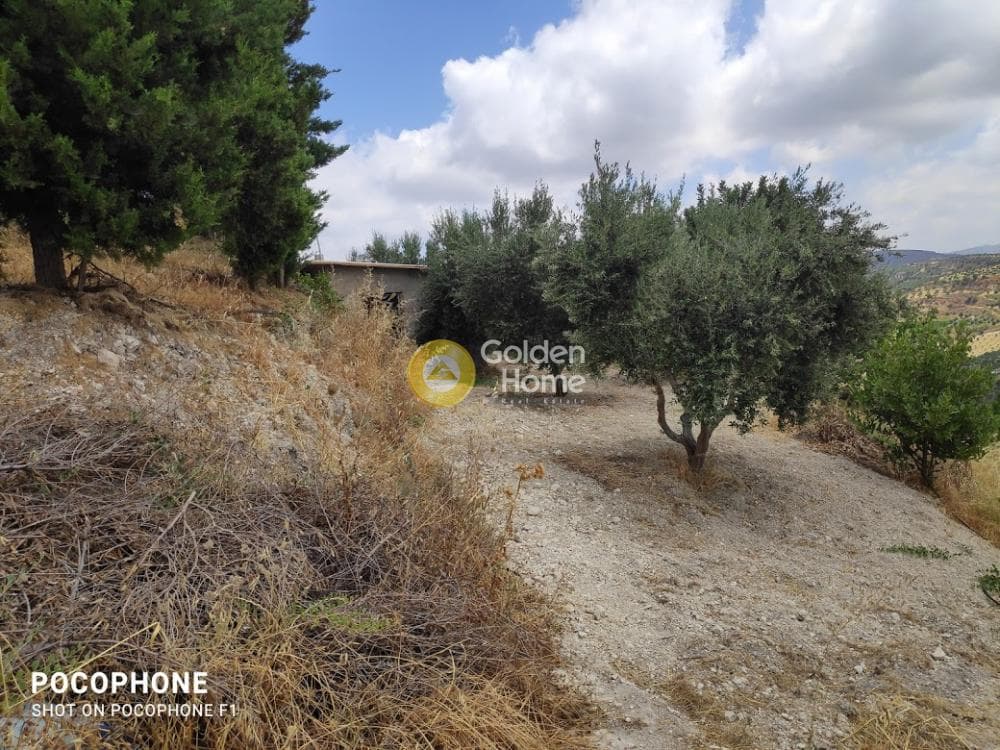 Αγροτεμάχιο στην Άγιος Μύρωνας, Τετραχώρι — Φωτογραφία 15 από 31