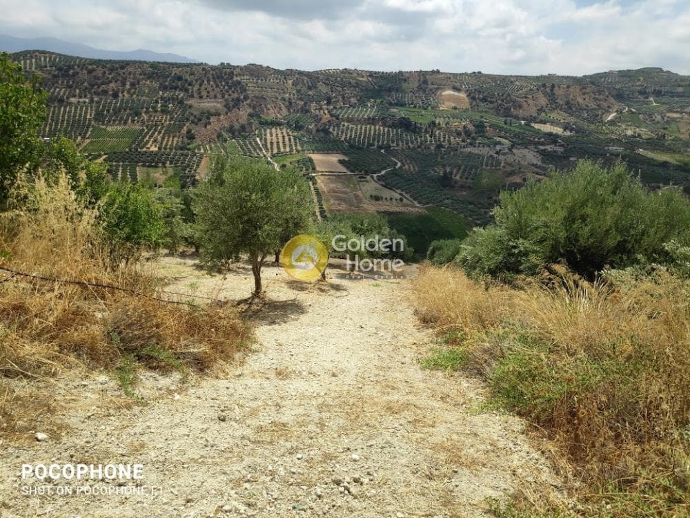 Αγροτεμάχιο στην Άγιος Μύρωνας, Τετραχώρι — Φωτογραφία 16 από 31