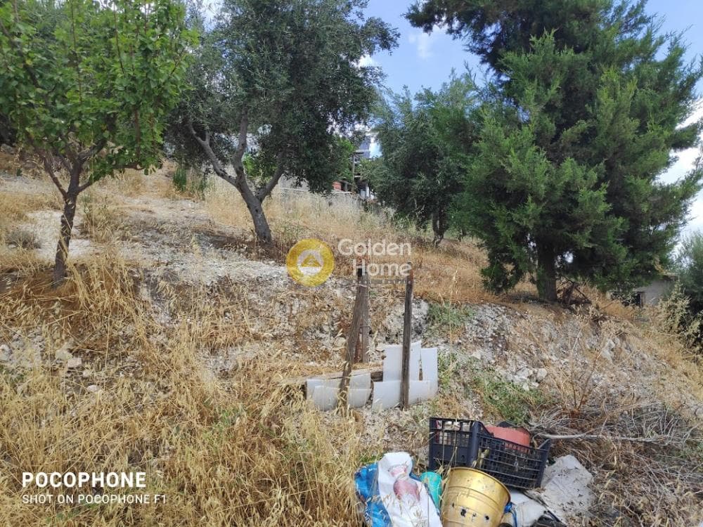 Αγροτεμάχιο στην Άγιος Μύρωνας, Τετραχώρι — Φωτογραφία 17 από 31