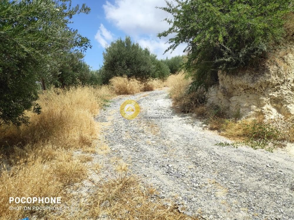 Αγροτεμάχιο στην Άγιος Μύρωνας, Τετραχώρι — Φωτογραφία 20 από 31