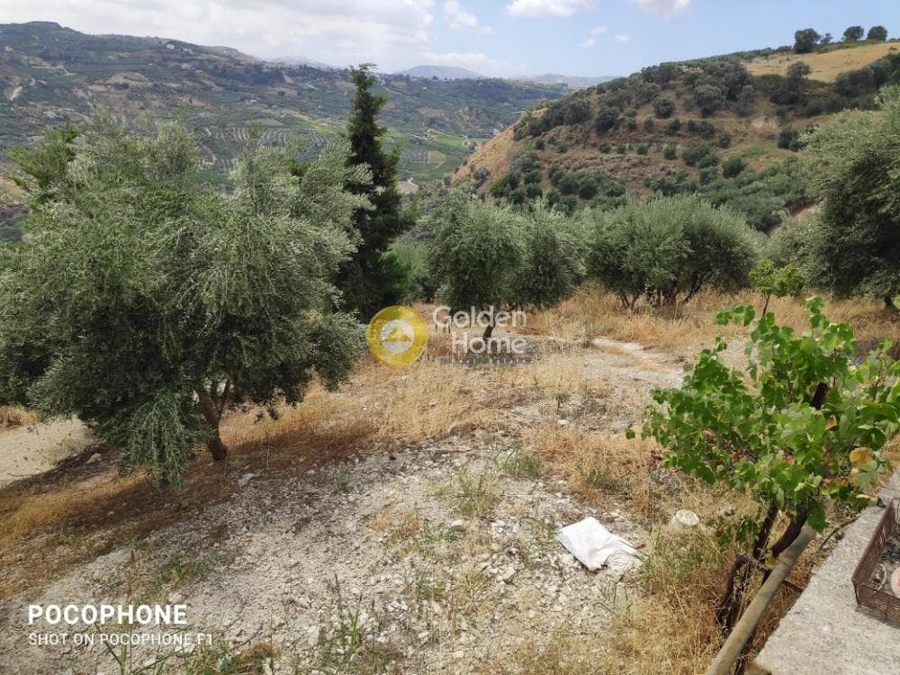 Αγροτεμάχιο στην Άγιος Μύρωνας, Τετραχώρι — Φωτογραφία 21 από 31