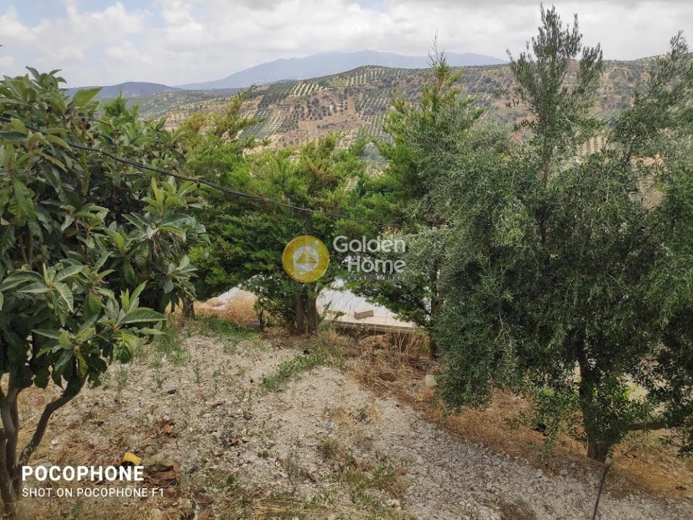 Αγροτεμάχιο στην Άγιος Μύρωνας, Τετραχώρι — Φωτογραφία 24 από 31