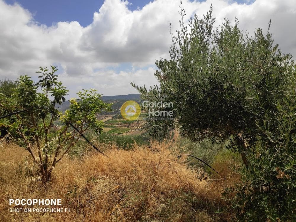 Αγροτεμάχιο στην Άγιος Μύρωνας, Τετραχώρι — Φωτογραφία 26 από 31