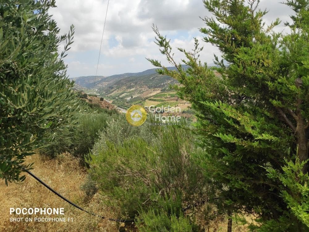 Αγροτεμάχιο στην Άγιος Μύρωνας, Τετραχώρι — Φωτογραφία 31 από 31