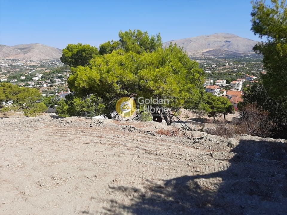 Building Plot in ATE, Anavissos — Photo 9 of 14