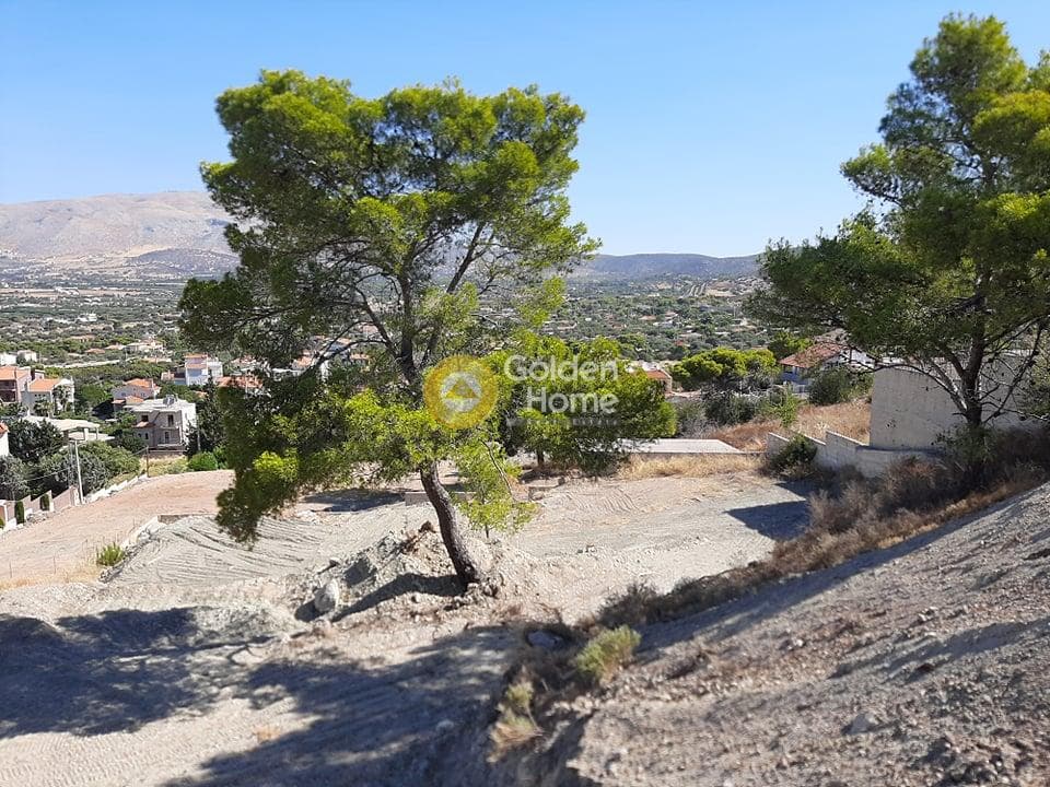 Building Plot in ATE, Anavissos — Photo 13 of 14