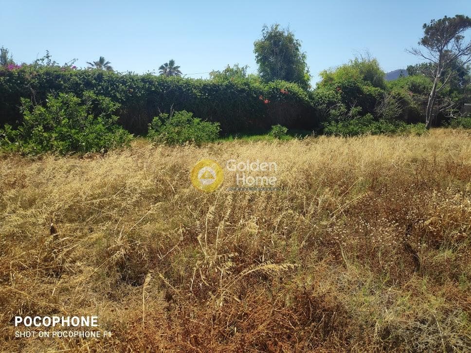 Οικόπεδο στην Κάτω Γούβες, Γούβες — Φωτογραφία 1 από 4