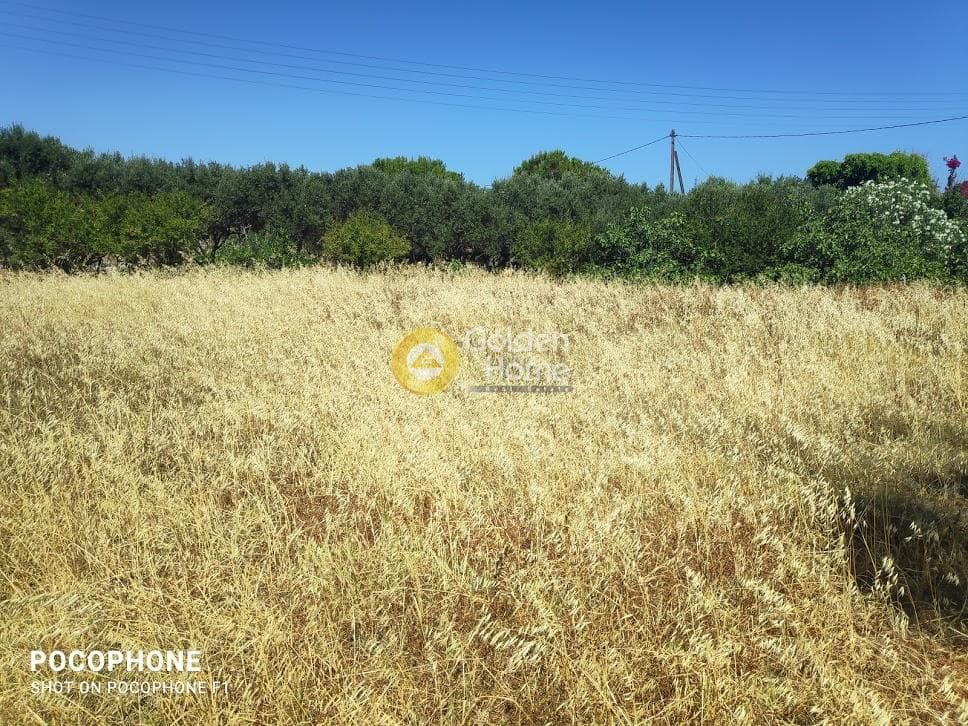 Οικόπεδο στην Κάτω Γούβες, Γούβες — Φωτογραφία 4 από 4