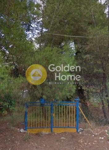 Οικόπεδο στην Δροσιά, Δροσιά — Φωτογραφία 2 από 2