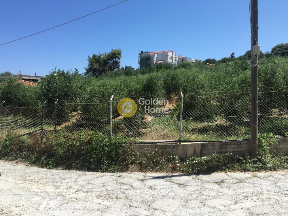 Οικόπεδο στην Γούρνες, Τέμενος — Φωτογραφία 1 από 4
