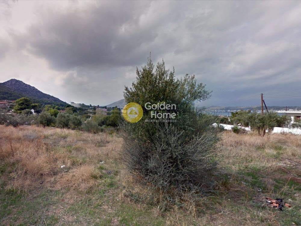 Building Plot in Drosopigi, Abelakia