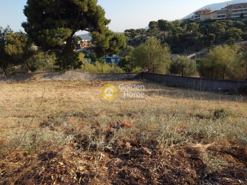 Αγροτεμάχιο στην Καλογερικό, Παλλήνη — Φωτογραφία 3 από 10