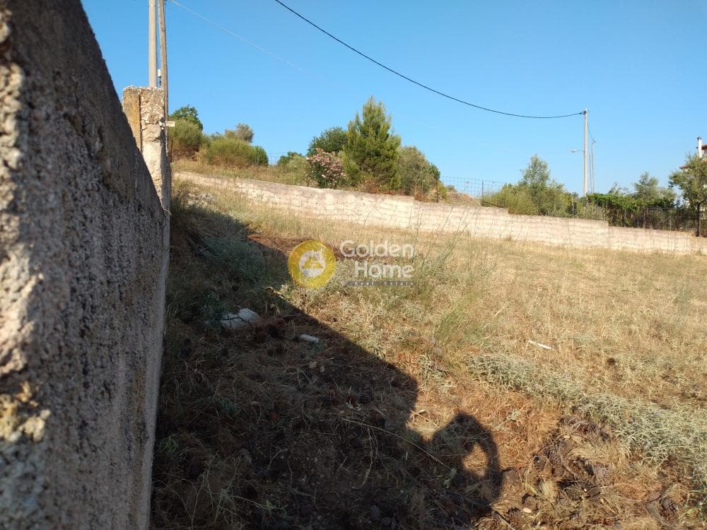 Αγροτεμάχιο στην Καλογερικό, Παλλήνη — Φωτογραφία 8 από 10