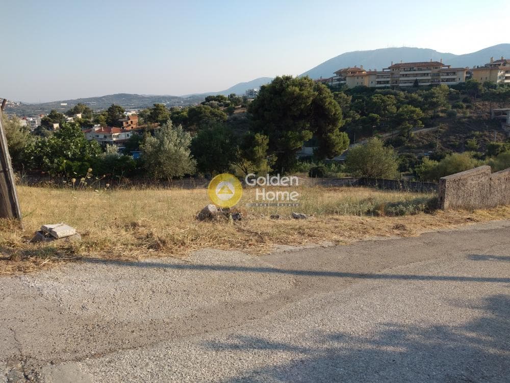 Αγροτεμάχιο στην Καλογερικό, Παλλήνη — Φωτογραφία 9 από 10