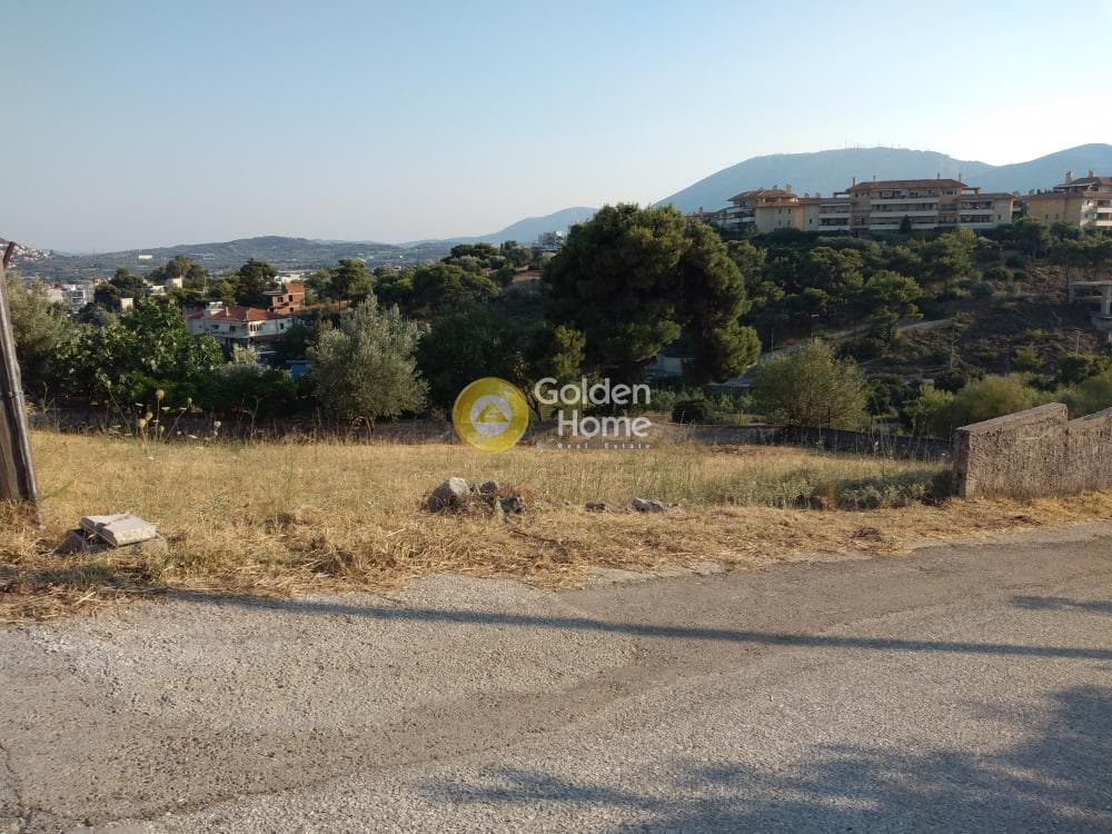 Αγροτεμάχιο στην Καλογερικό, Παλλήνη — Φωτογραφία 10 από 10
