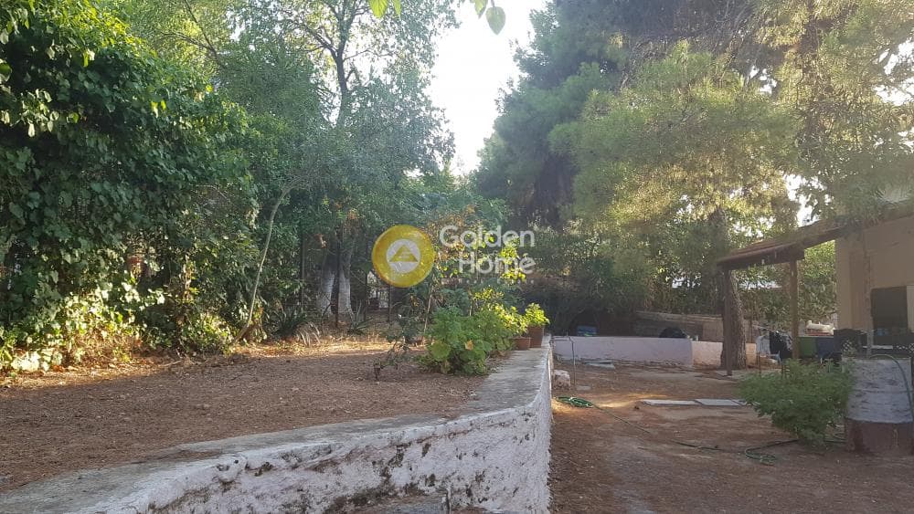 Μονοκατοικία στην Νέα Ζωή, Αγία Παρασκευή — Φωτογραφία 13 από 15