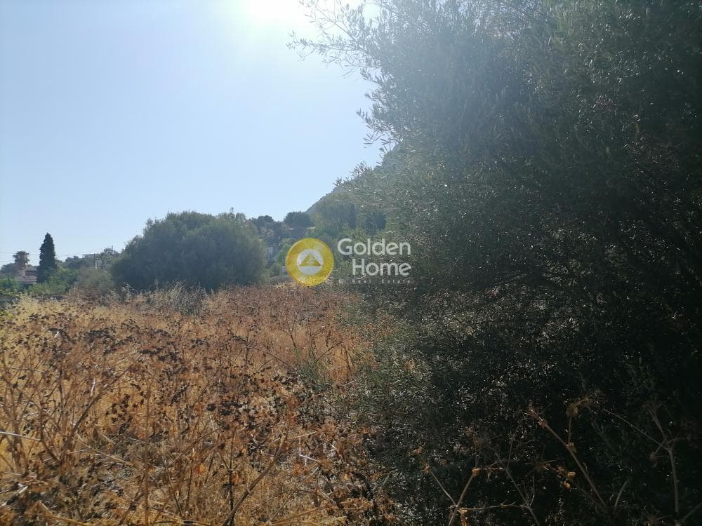 Οικόπεδο στην Λίσταρος, Μοίρες — Φωτογραφία 3 από 7