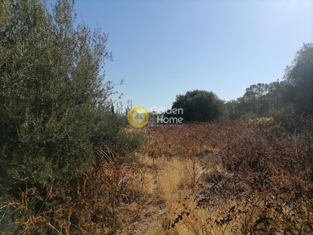 Οικόπεδο στην Λίσταρος, Μοίρες — Φωτογραφία 4 από 7
