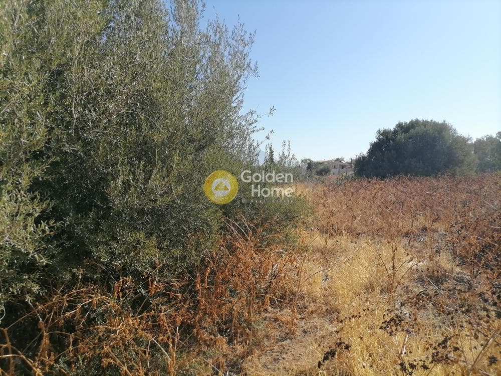 Οικόπεδο στην Λίσταρος, Μοίρες — Φωτογραφία 6 από 7