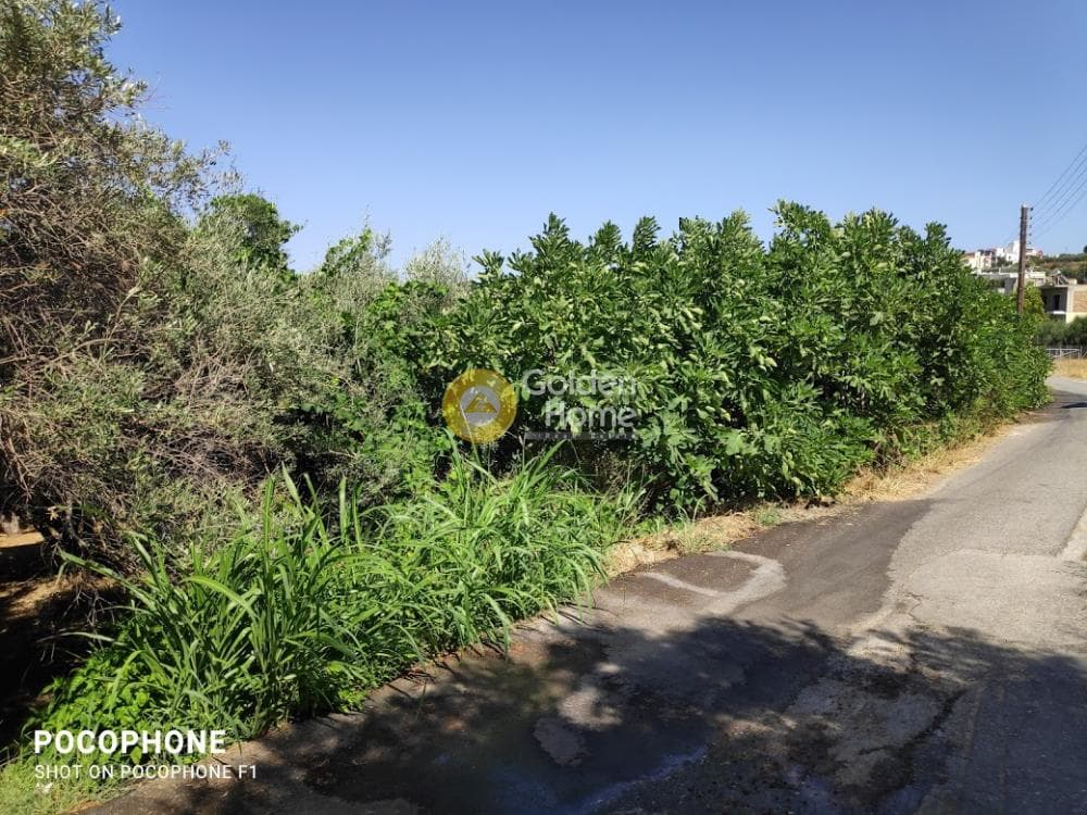 Αγροτεμάχιο στην Εθιά, Ηράκλειο Κρήτης — Φωτογραφία 1 από 14