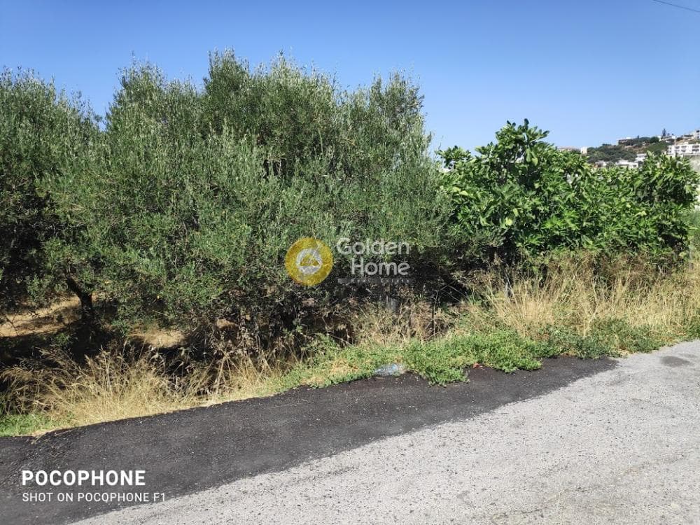 Αγροτεμάχιο στην Εθιά, Ηράκλειο Κρήτης — Φωτογραφία 9 από 14