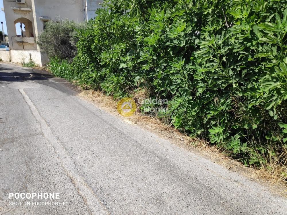 Αγροτεμάχιο στην Εθιά, Ηράκλειο Κρήτης — Φωτογραφία 12 από 14