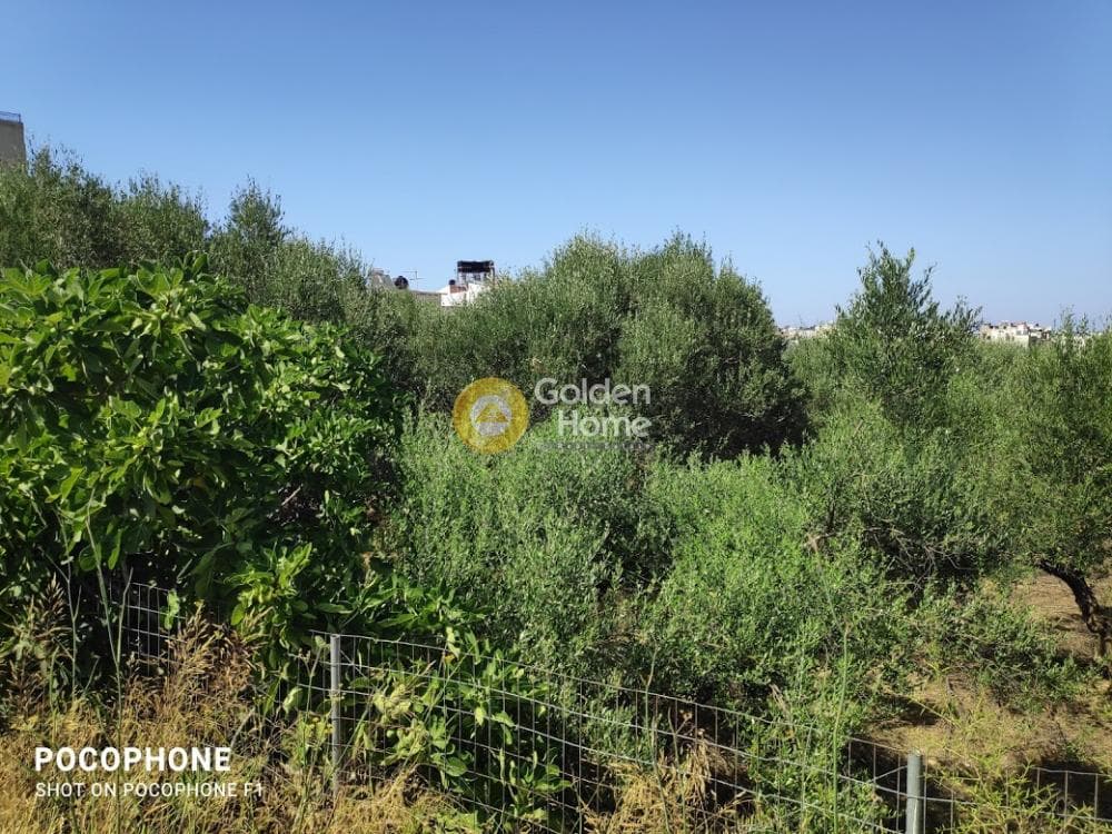 Αγροτεμάχιο στην Εθιά, Ηράκλειο Κρήτης — Φωτογραφία 13 από 14