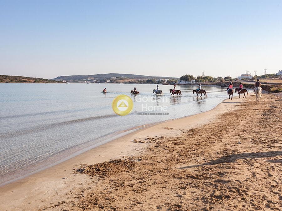 Αγροτεμάχιο στην Ξιφάρα, Πάρος — Φωτογραφία 2 από 2