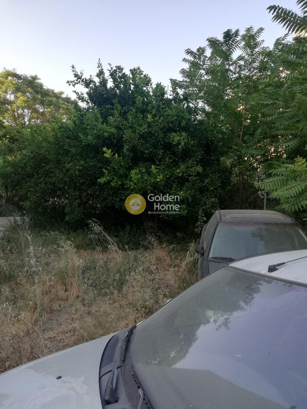 Οικόπεδο στην Άγιος Ιωάννης Κνωσσού, Ηράκλειο Κρήτης — Φωτογραφία 3 από 5