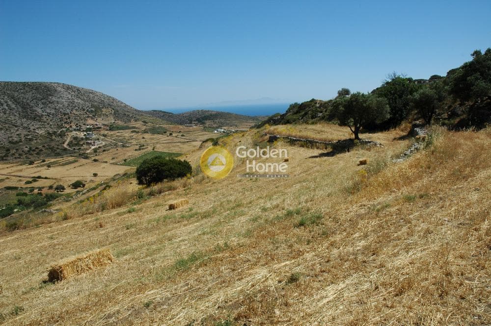 Parcel in Paroikia, Paros — Photo 12 of 25