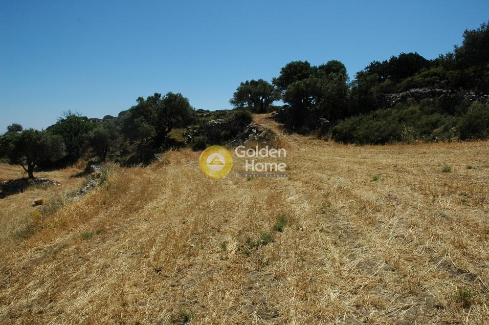 Parcel in Paroikia, Paros — Photo 15 of 25