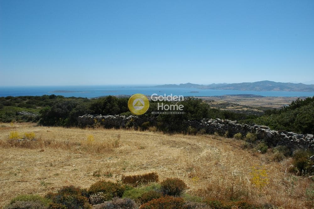 Parcel in Paroikia, Paros — Photo 22 of 25