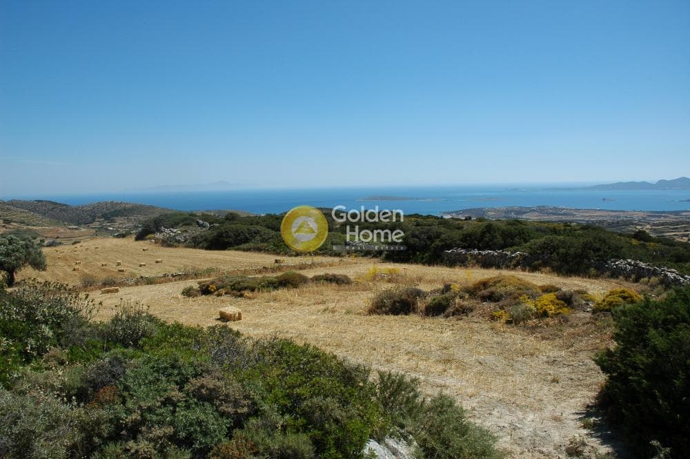 Parcel in Paroikia, Paros — Photo 23 of 25
