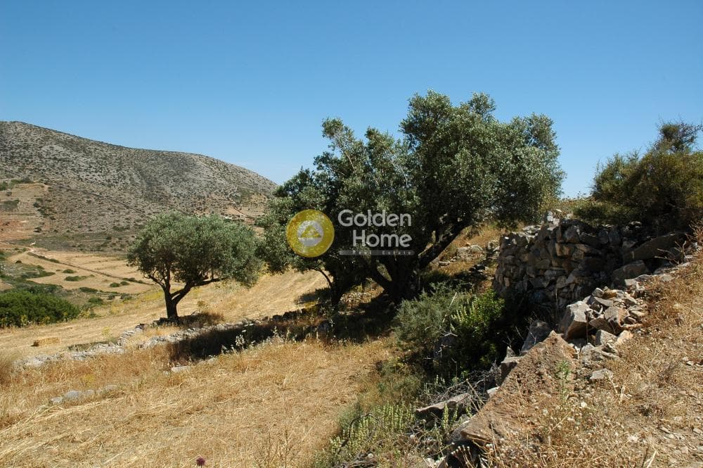 Parcel in Paroikia, Paros — Photo 25 of 25