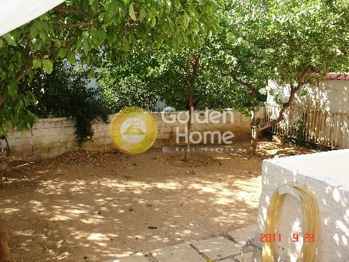House in Golf, Glyfada — Photo 7 of 7