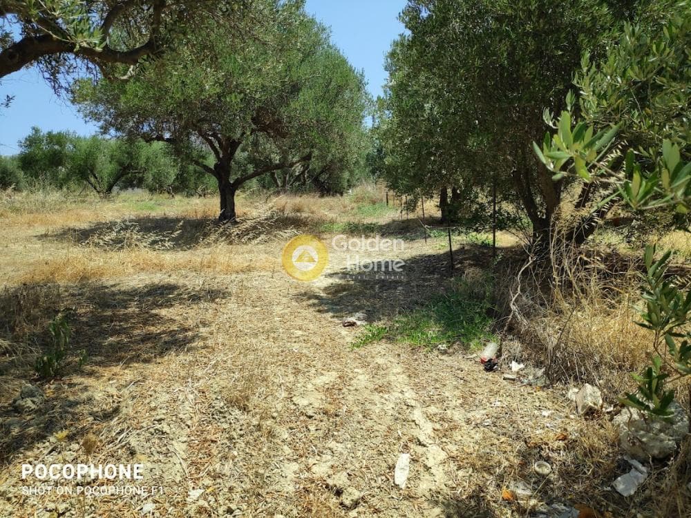Building Plot in Giofirakia, Temenos — Photo 1 of 17